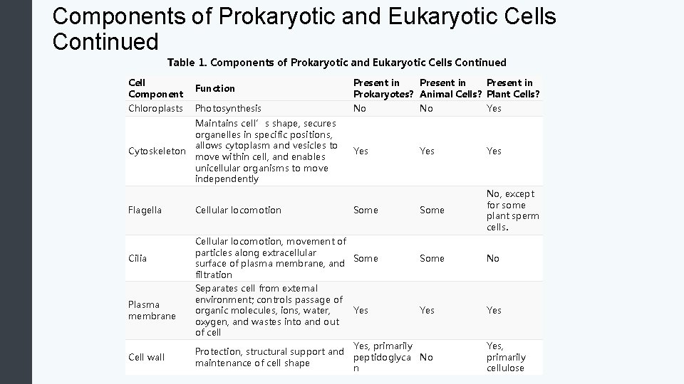 Components of Prokaryotic and Eukaryotic Cells Continued Table 1. Components of Prokaryotic and Eukaryotic