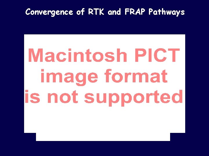 Convergence of RTK and FRAP Pathways 