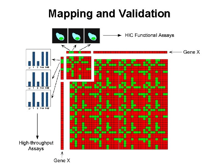 Mapping and Validation 
