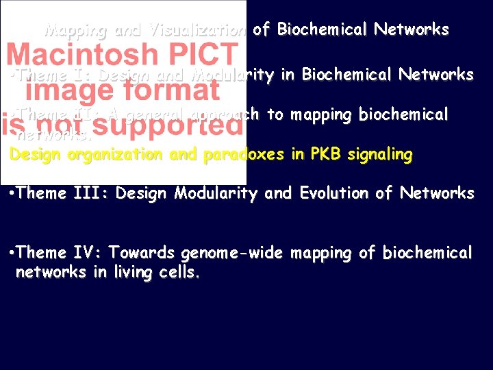 Mapping and Visualization of Biochemical Networks • Theme I: Design and Modularity in Biochemical