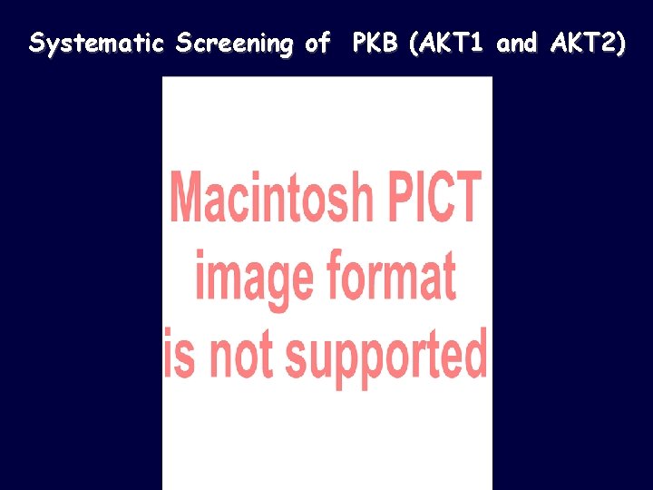 Systematic Screening of PKB (AKT 1 and AKT 2) 