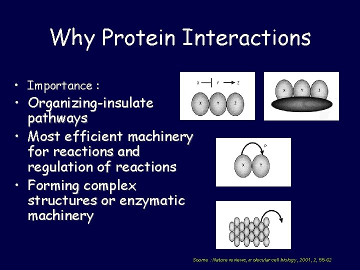 Why Protein Interactions • Importance : • Organizing-insulate pathways • Most efficient machinery for