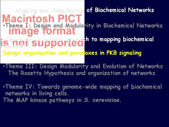 Mapping and Visualization of Biochemical Networks • Theme I: Design and Modularity in Biochemical