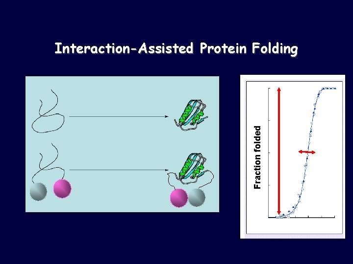 Fraction folded Interaction-Assisted Protein Folding 