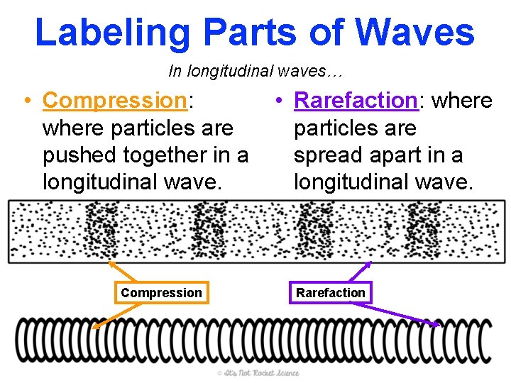 Labeling Parts of Waves In longitudinal waves… • Compression: where particles are pushed together