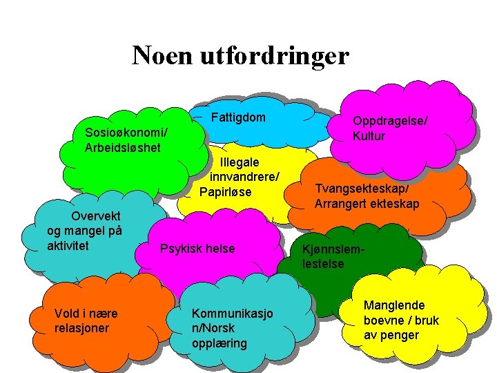 Noen utfordringer Fattigdom Sosioøkonomi/ Arbeidsløshet Illegale innvandrere/ Papirløse Overvekt og mangel på aktivitet Vold