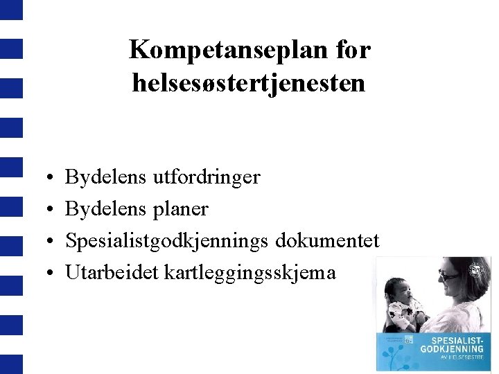 Kompetanseplan for helsesøstertjenesten • • Bydelens utfordringer Bydelens planer Spesialistgodkjennings dokumentet Utarbeidet kartleggingsskjema 