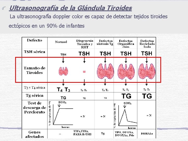 Ultrasonografía de la Glándula Tiroides La ultrasonografía doppler color es capaz de detectar tejidos