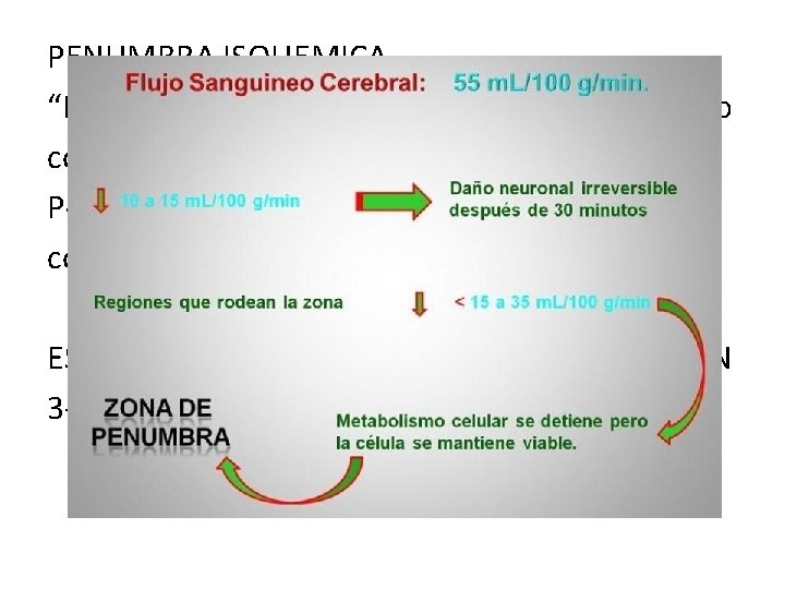 PENUMBRA ISQUEMICA “Paralisis neuronal” silencio electrofisiologico con mtb energetico disminuido. Posee perfusion miserable que