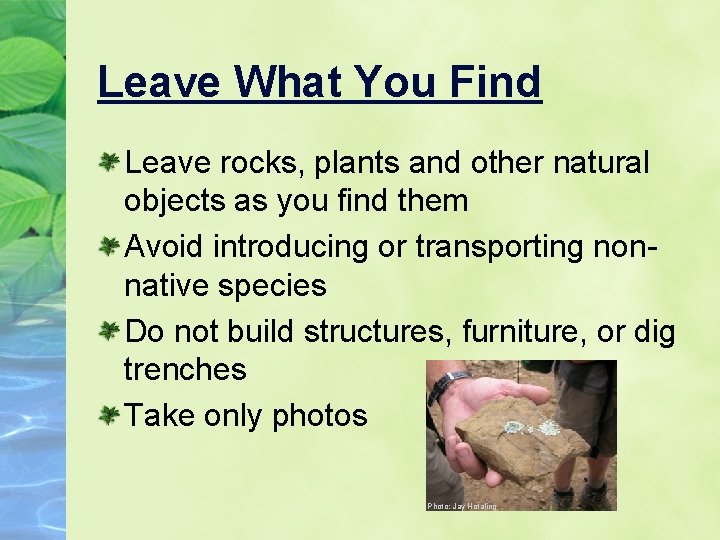 Leave What You Find Leave rocks, plants and other natural objects as you find