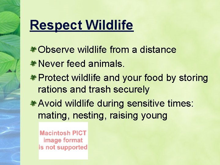 Respect Wildlife Observe wildlife from a distance Never feed animals. Protect wildlife and your