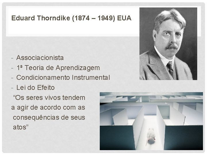 Eduard Thorndike (1874 – 1949) EUA - Associacionista - 1ª Teoria de Aprendizagem -