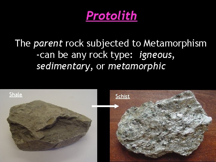 Protolith The parent rock subjected to Metamorphism -can be any rock type: igneous, sedimentary,