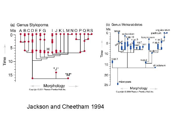 Jackson and Cheetham 1994 