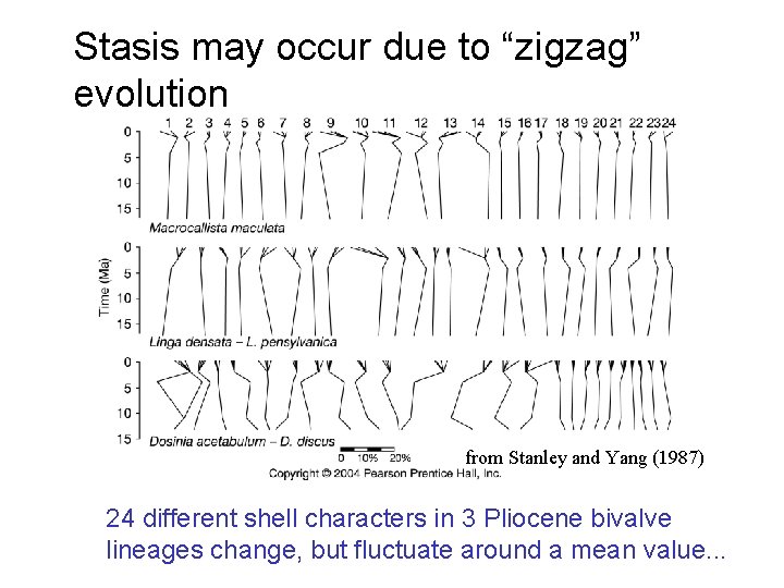 Stasis may occur due to “zigzag” evolution from Stanley and Yang (1987) 24 different