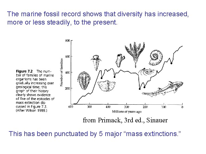 The marine fossil record shows that diversity has increased, more or less steadily, to