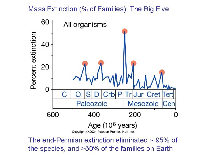 Mass Extinction (% of Families): The Big Five The end-Permian extinction eliminated ~ 95%