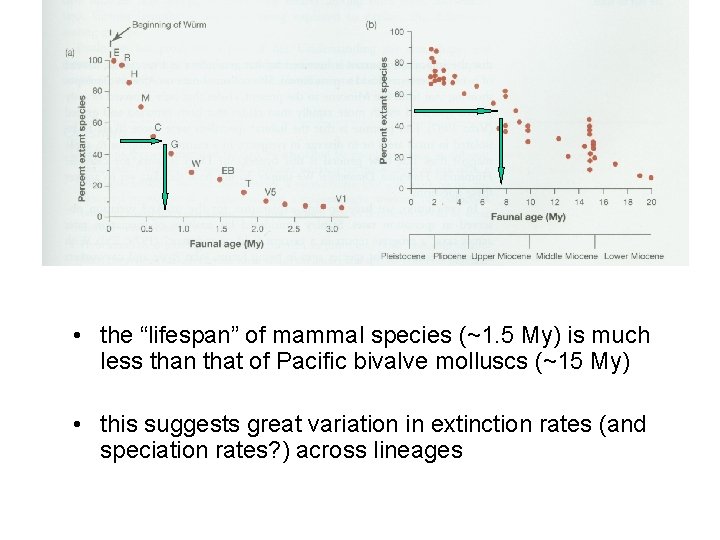  • the “lifespan” of mammal species (~1. 5 My) is much less than