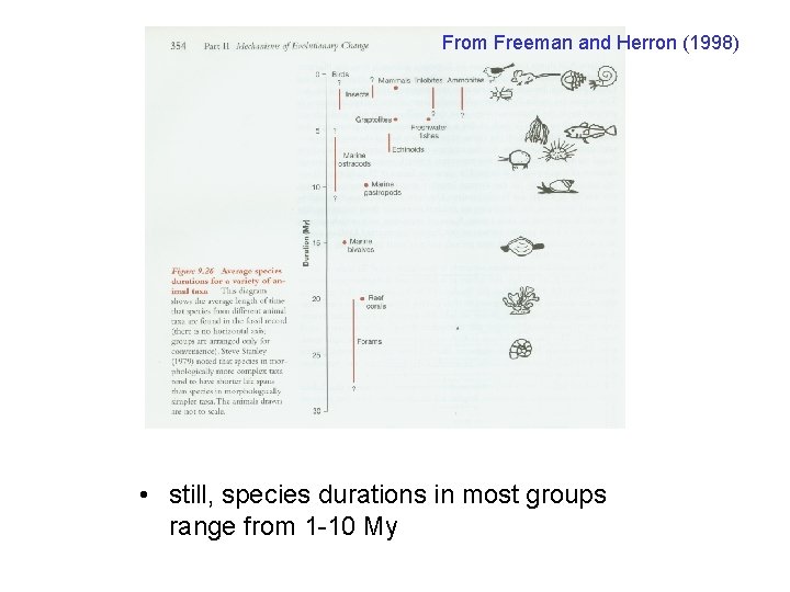 From Freeman and Herron (1998) • still, species durations in most groups range from