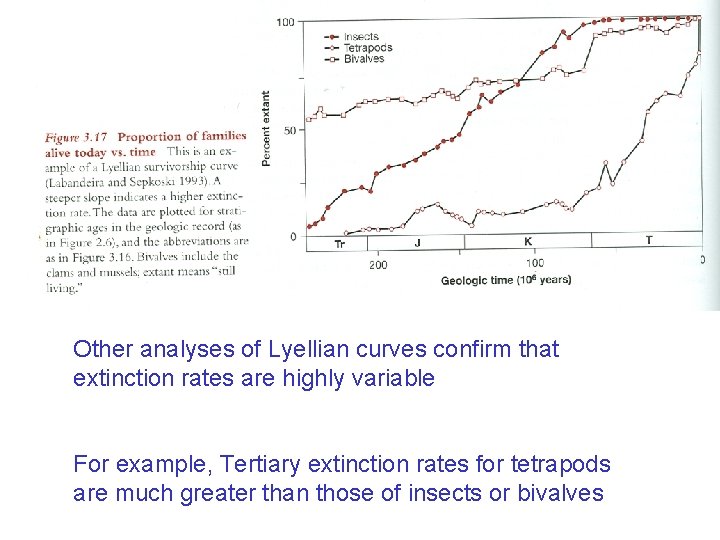 Other analyses of Lyellian curves confirm that extinction rates are highly variable For example,
