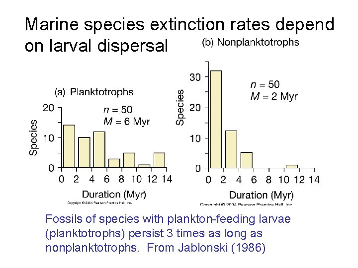 Marine species extinction rates depend on larval dispersal Fossils of species with plankton-feeding larvae