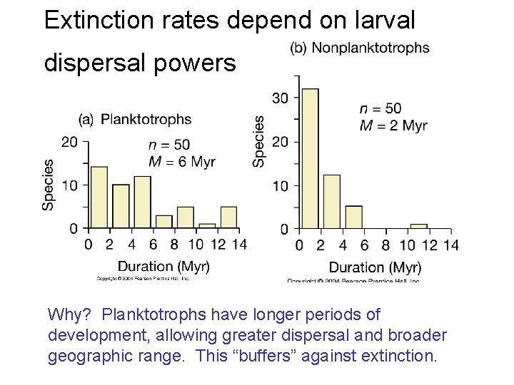Extinction rates depend on larval dispersal powers Why? Planktotrophs have longer periods of development,