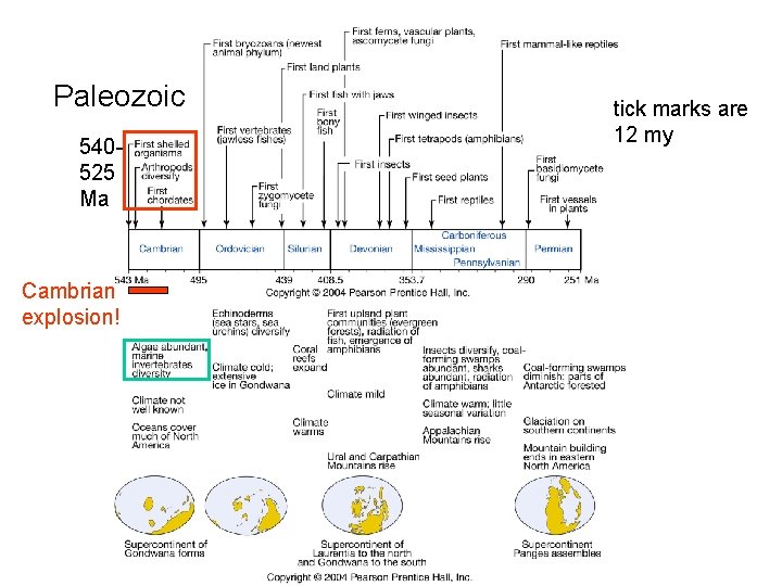 Paleozoic 540525 Ma Cambrian explosion! tick marks are 12 my 