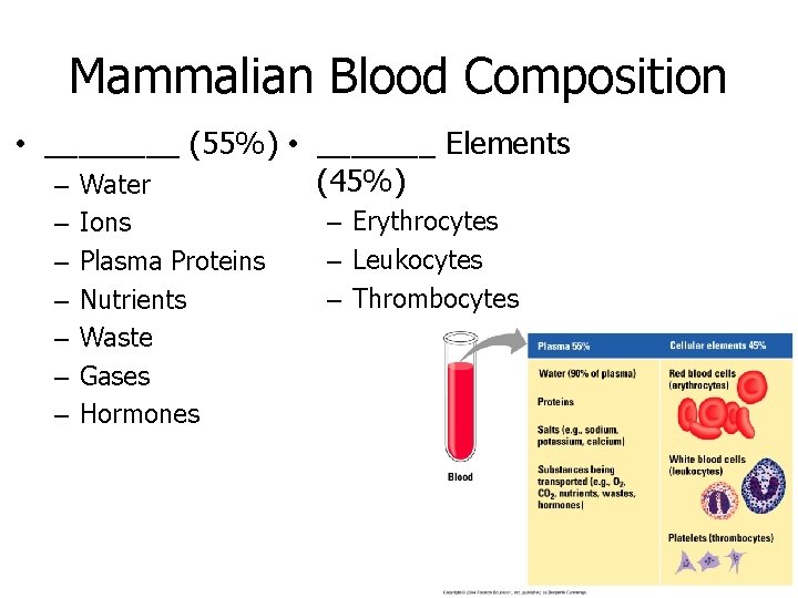 Mammalian Blood Composition • ____ (55%) • _______ Elements (45%) – Water – –