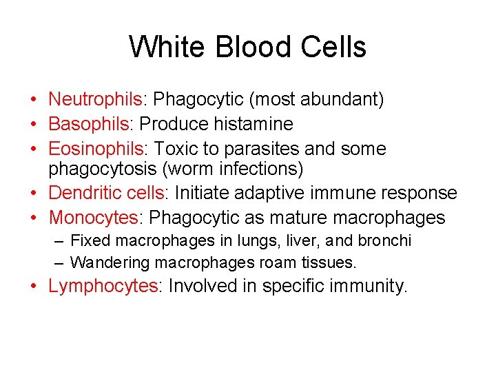 White Blood Cells • Neutrophils: Phagocytic (most abundant) • Basophils: Produce histamine • Eosinophils: