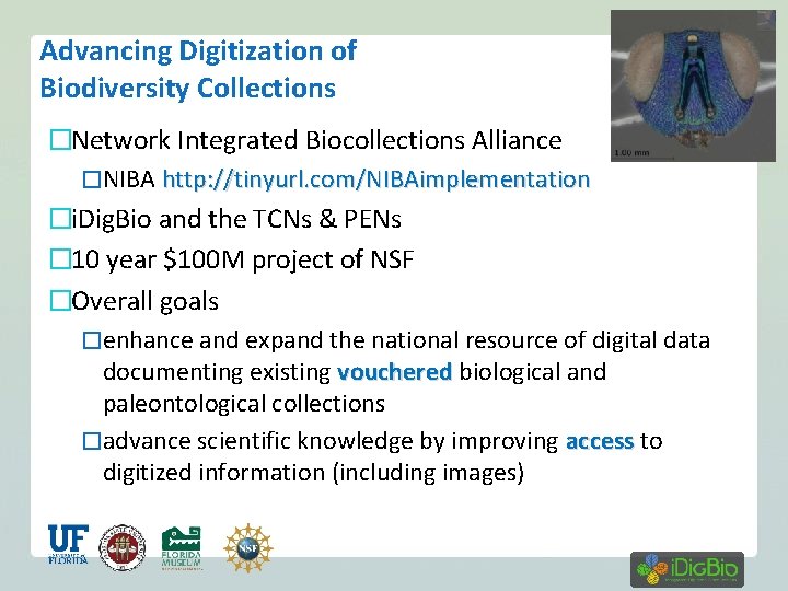 Advancing Digitization of Biodiversity Collections �Network Integrated Biocollections Alliance �NIBA http: //tinyurl. com/NIBAimplementation �i.