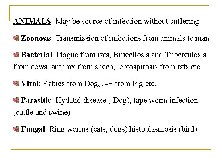 ANIMALS: May be source of infection without suffering Zoonosis: Transmission of infections from animals