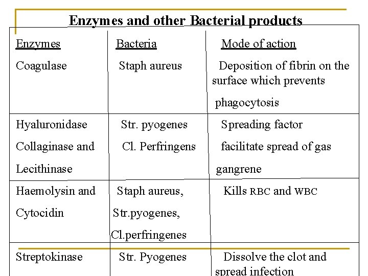 Enzymes and other Bacterial products Enzymes Bacteria Coagulase Staph aureus Mode of action Deposition