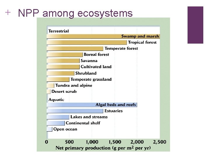 + NPP among ecosystems 