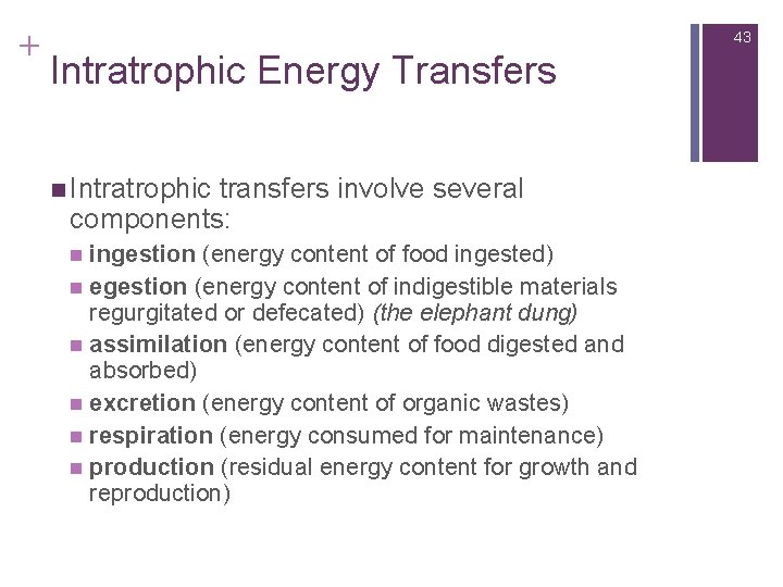 + 43 Intratrophic Energy Transfers n Intratrophic transfers involve several components: ingestion (energy content