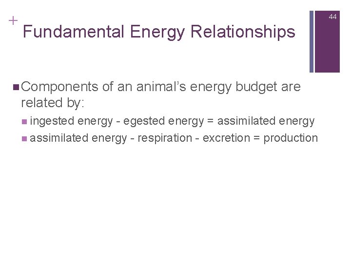 + 44 Fundamental Energy Relationships n Components of an animal’s energy budget are related
