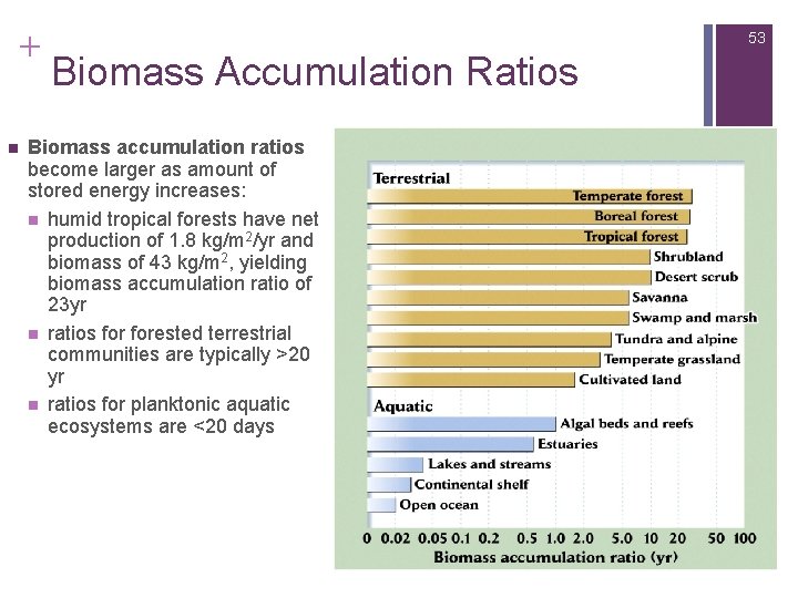 + n 53 Biomass Accumulation Ratios Biomass accumulation ratios become larger as amount of