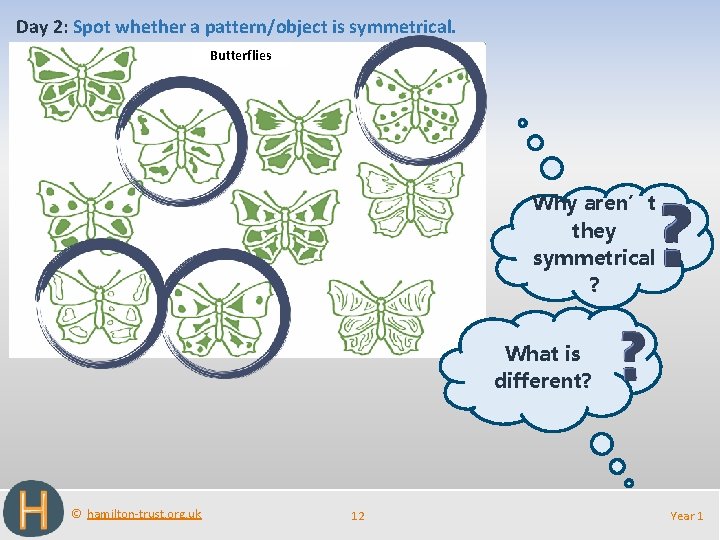 Day 2: Spot whether a pattern/object is symmetrical. Butterflies Why aren’t they symmetrical ?