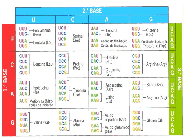 Bioquímica Celular – Prof. Júnior 