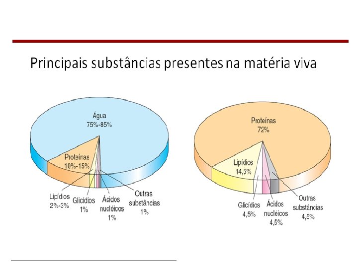 Bioquímica Celular – Prof. Júnior 