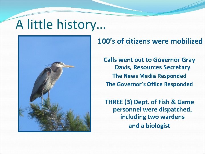 A little history… 100’s of citizens were mobilized Calls went out to Governor Gray