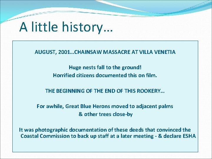 A little history… AUGUST, 2001…CHAINSAW MASSACRE AT VILLA VENETIA Huge nests fall to the