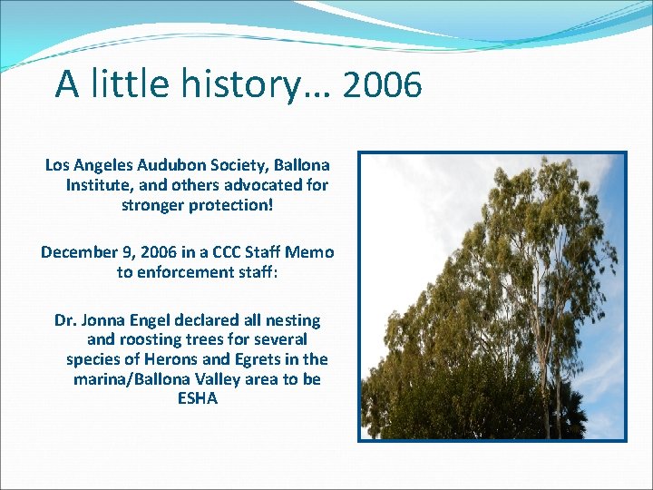A little history… 2006 Los Angeles Audubon Society, Ballona Institute, and others advocated for