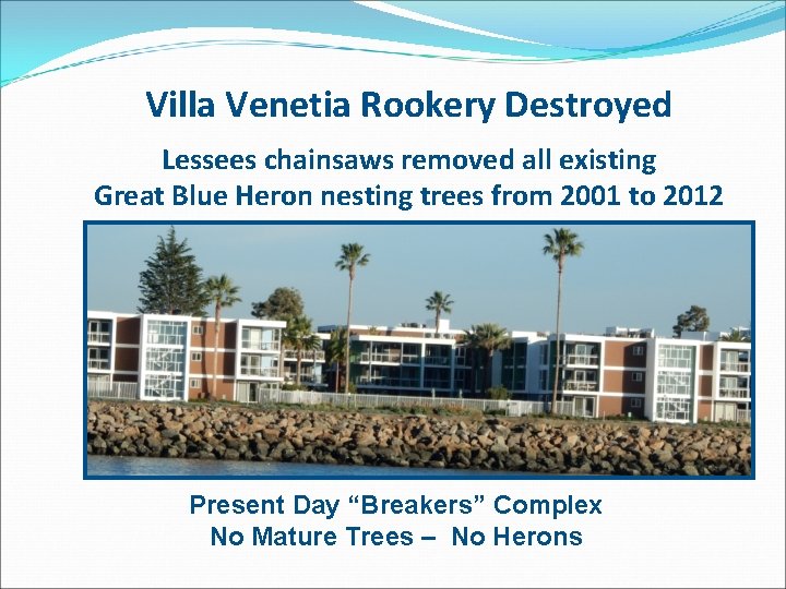 Villa Venetia Rookery Destroyed Lessees chainsaws removed all existing Great Blue Heron nesting trees