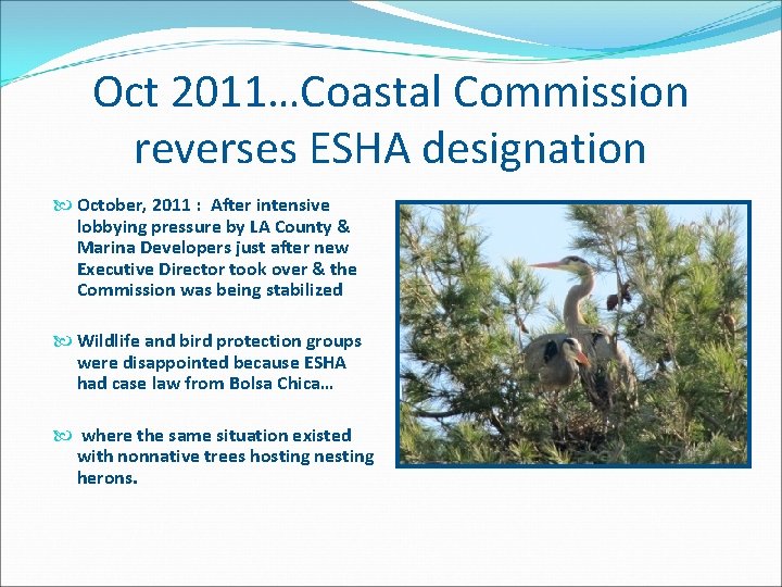 Oct 2011…Coastal Commission reverses ESHA designation October, 2011 : After intensive lobbying pressure by