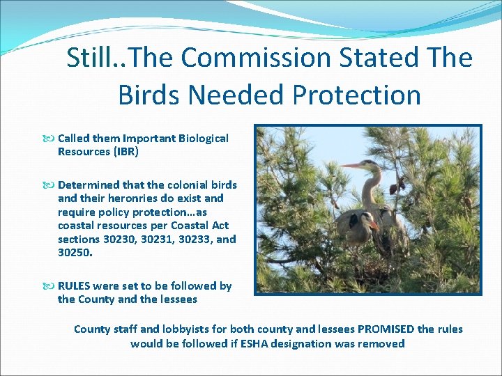 Still. . The Commission Stated The Birds Needed Protection Called them Important Biological Resources