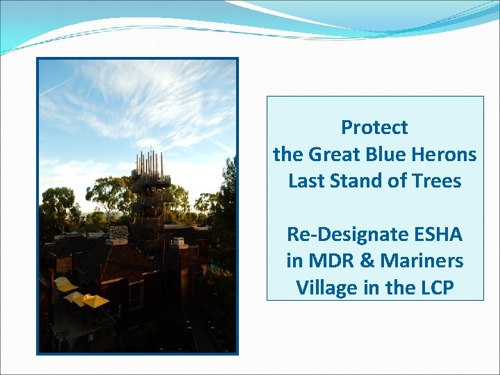 Protect the Great Blue Herons Last Stand of Trees Re-Designate ESHA in MDR &