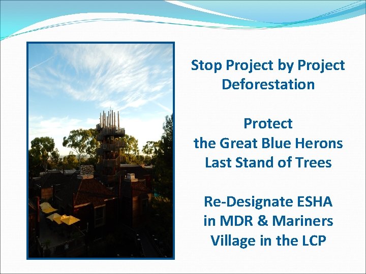 Stop Project by Project Deforestation Protect the Great Blue Herons Last Stand of Trees