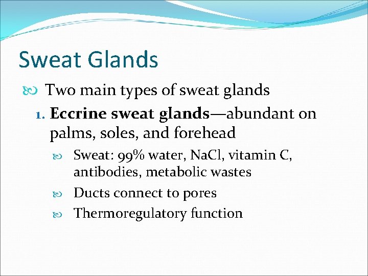 Sweat Glands Two main types of sweat glands 1. Eccrine sweat glands—abundant on palms,