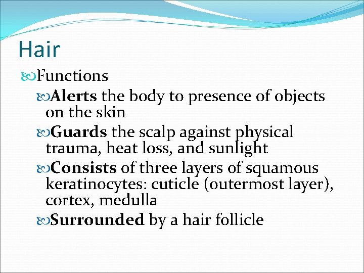 Hair Functions Alerts the body to presence of objects on the skin Guards the Hair Functions Alerts the body to presence of objects on the skin Guards the