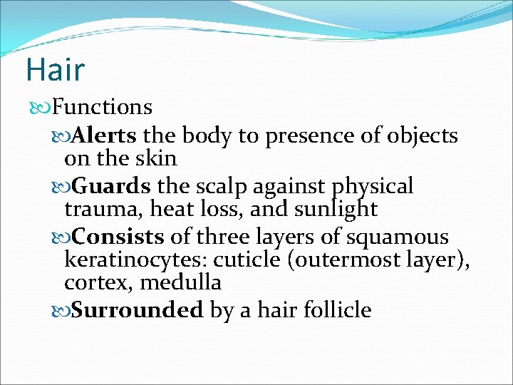 Hair Functions Alerts the body to presence of objects on the skin Guards the